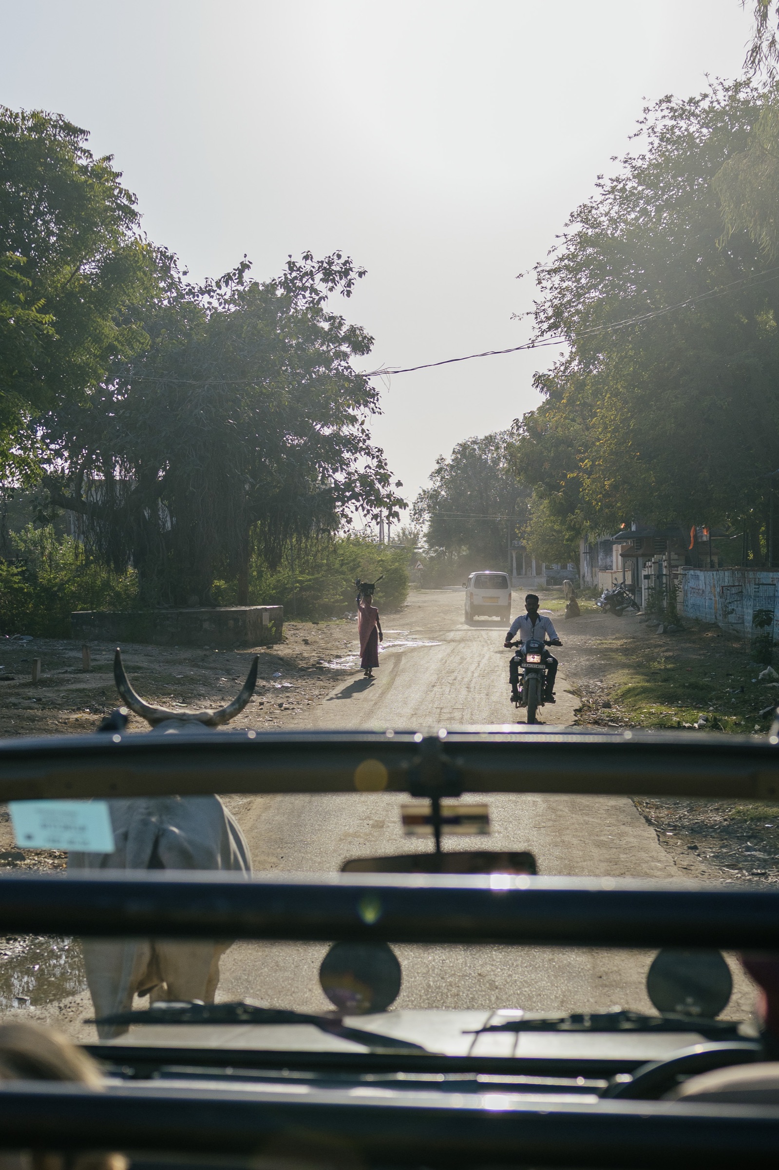 Morning light on an Indian road
