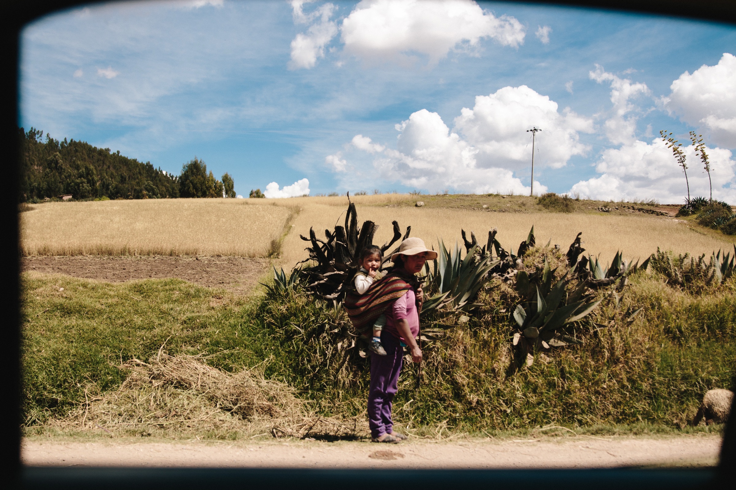 Andean highlands through a window